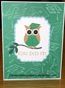 Owl Graduation Card - Hoot, Hoot Hooray!