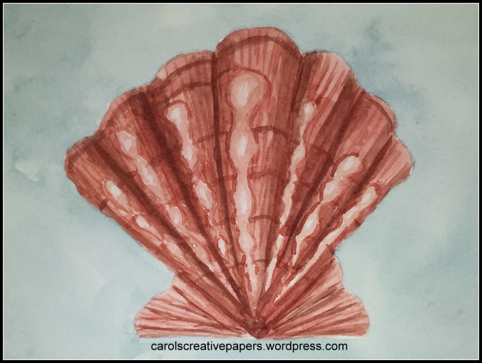Lion's Paw Scallop Shell in watercolor