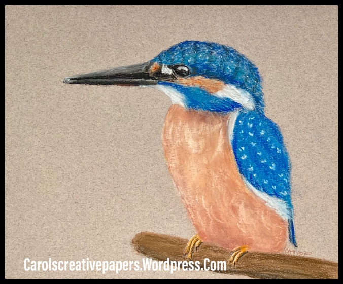Kingfisher in Pastel